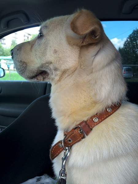 1536 X 2048 446.3 Kb  -.  