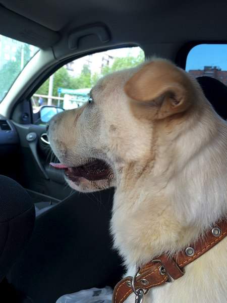 1536 X 2048 390.7 Kb   ?  