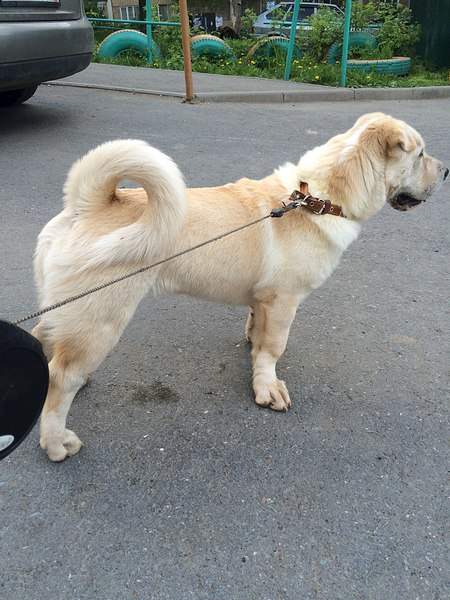 1536 X 2048 741.6 Kb 1536 X 2048 390.7 Kb   ?  