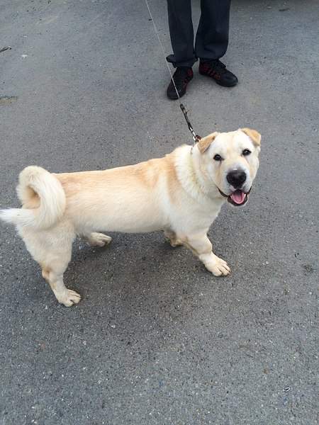 1536 X 2048 756.5 Kb 1536 X 2048 741.6 Kb 1536 X 2048 390.7 Kb   ?  