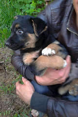 1920 X 2880 431.6 Kb    !