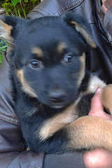 1920 X 2880 330.8 Kb 1920 X 2880 431.6 Kb    !