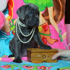 1920 X 1920 444.5 Kb 1920 X 1741 381.9 Kb   