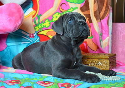 1920 X 1359 326.7 Kb 1920 X 1920 444.5 Kb 1920 X 1741 381.9 Kb   