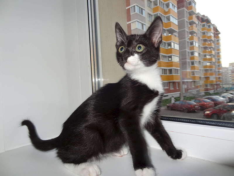 1920 X 1440 209.9 Kb      