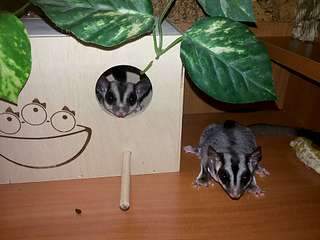 1920 X 1440 232.6 Kb 1920 X 1440 114.7 Kb  :  ,     ?!