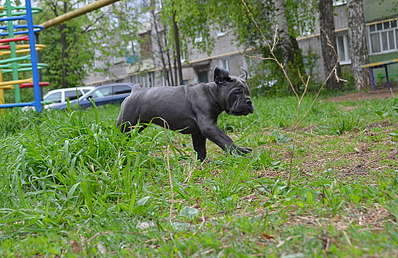 1920 X 1243 381.5 Kb 1920 X 1145 423.2 Kb 1920 X 1388 499.9 Kb   