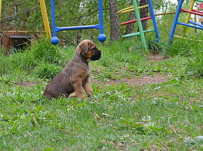 1920 X 1426 478.9 Kb 1920 X 1243 381.5 Kb 1920 X 1145 423.2 Kb 1920 X 1388 499.9 Kb   