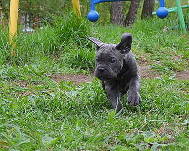 1868 X 1487 495.3 Kb 1920 X 1426 478.9 Kb 1920 X 1243 381.5 Kb 1920 X 1145 423.2 Kb 1920 X 1388 499.9 Kb   