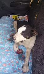 484 X 807 72.0 Kb  .    