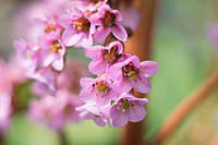 1920 X 1280 145.5 Kb     .    . 800 .