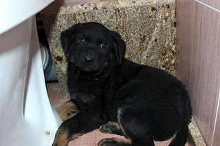 1920 X 1280 206.9 Kb    !