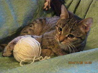 1920 X 1440 256.9 Kb 1920 X 1440 232.0 Kb   - , , .