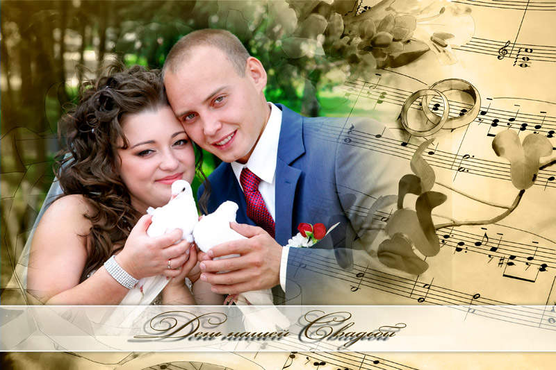 800 x 533 800 x 533    .