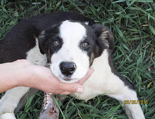 1920 X 1469 270.9 Kb     