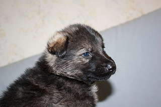 1920 X 1280 174.1 Kb    !