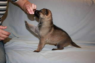 1920 X 1280 130.5 Kb    !