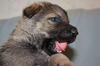 1920 X 1280 235.9 Kb    !