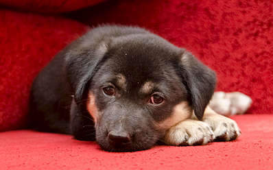 1920 X 1194 224.5 Kb 1920 X 1549 412.6 Kb     .