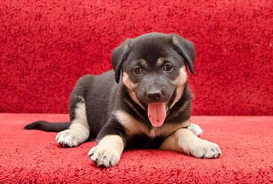 1920 X 1289 347.9 Kb 1920 X 1194 224.5 Kb 1920 X 1549 412.6 Kb     .