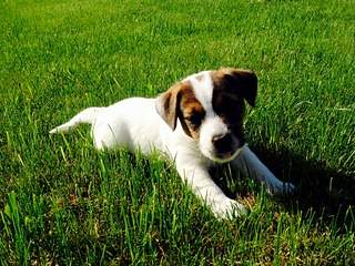 2048 X 1536 577.9 Kb     