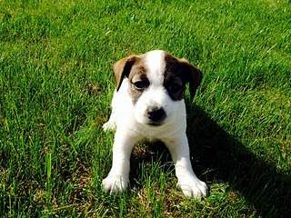 2048 X 1536 651.8 Kb     