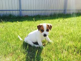 2048 X 1536 515.8 Kb     