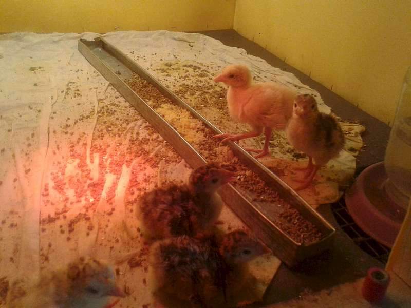 1920 X 1440 165.0 Kb 1920 X 1440 136.5 Kb    