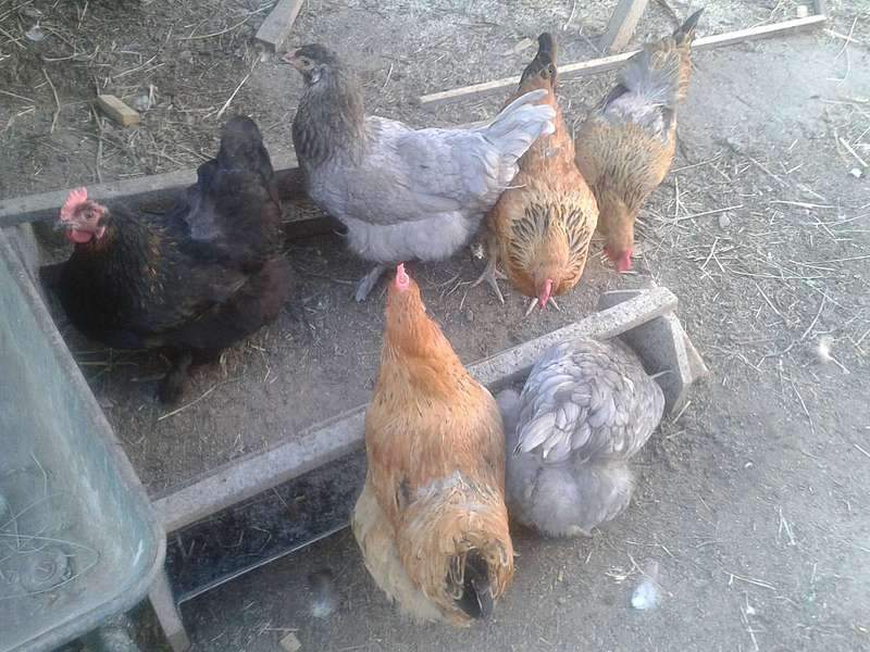 1920 X 1440 282.3 Kb 1920 X 1440 238.2 Kb 1920 X 1440 316.8 Kb    