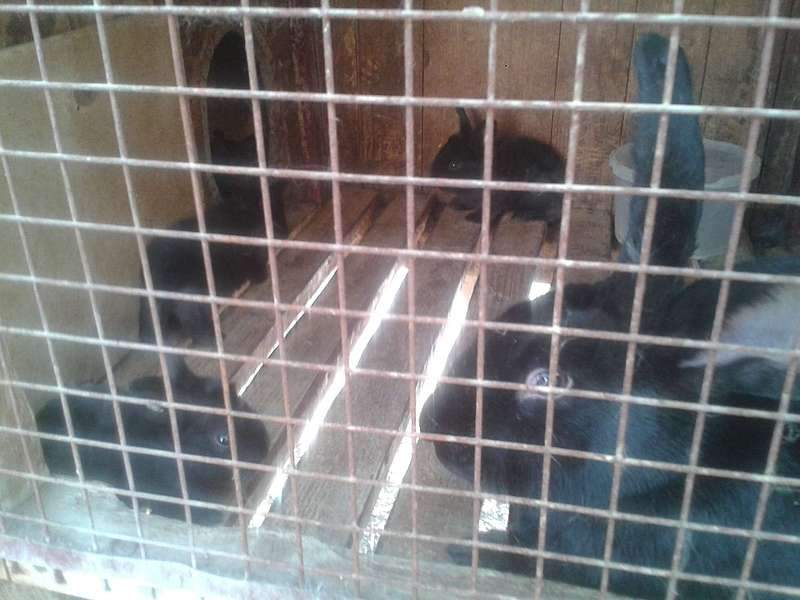 1920 X 1440 179.7 Kb 1920 X 1440 219.9 Kb 1920 X 1440 282.3 Kb 1920 X 1440 238.2 Kb 1920 X 1440 316.8 Kb    