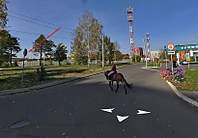 820 X 569 109.5 Kb ,     ?