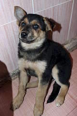 1920 X 2880 346.3 Kb    !