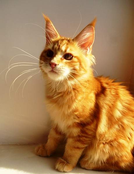 1300 X 1693 1007.0 Kb 937 X 1239 641.2 Kb 1306 X 1883 153.9 Kb 1016 X 1134 653.8 Kb 1360 X 1513 932.7 Kb -   !