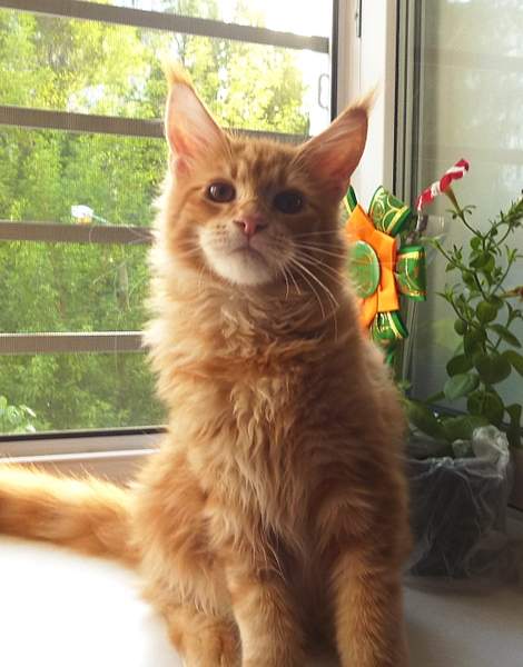 1110 X 1416 676.4 Kb -   !