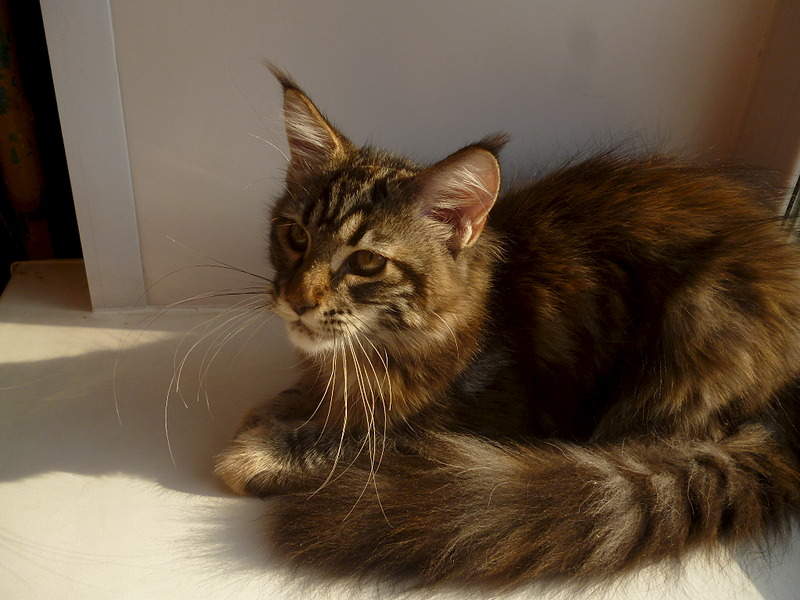 2048 X 1536 247.2 Kb 1110 X 1416 676.4 Kb -   !