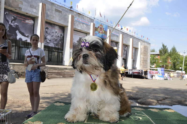 1920 X 1271 258.4 Kb 1920 X 1271 356.9 Kb  -