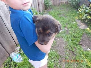 604 X 453 68.2 Kb -       .