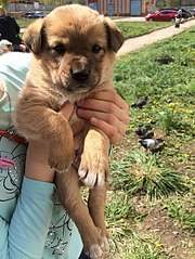 453 X 604 84.5 Kb -       .