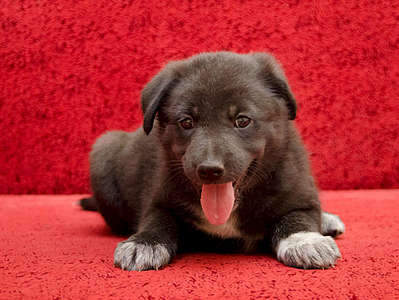 1920 X 1443 363.7 Kb     .