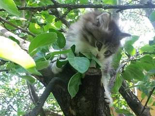 2048 X 1536 668.7 Kb      ( )