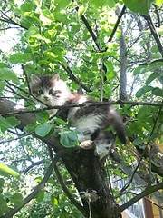 1536 X 2048 448.1 Kb 1536 X 2048 701.4 Kb 2048 X 1536 668.7 Kb      ( )