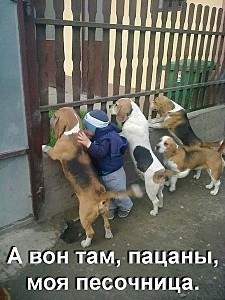 450 X 600 79.6 Kb Улыбнемся?