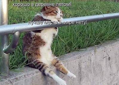 600 X 430 79.0 Kb Улыбнемся?