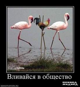 460 X 500 40.5 Kb 480 X 411 39.7 Kb 480 X 438 67.5 Kb 600 X 437 54.3 Kb 600 X 430 79.0 Kb Улыбнемся?