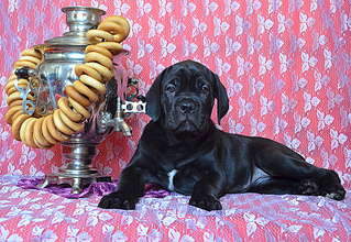 1920 X 1323 507.1 Kb 1920 X 1783 690.6 Kb 1920 X 1368 562.5 Kb 1920 X 1411 603.6 Kb   