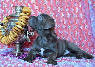 1920 X 1347 594.2 Kb 1920 X 1323 507.1 Kb 1920 X 1783 690.6 Kb 1920 X 1368 562.5 Kb 1920 X 1411 603.6 Kb   