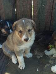 453 X 604 50.3 Kb 453 X 604 53.9 Kb -       .