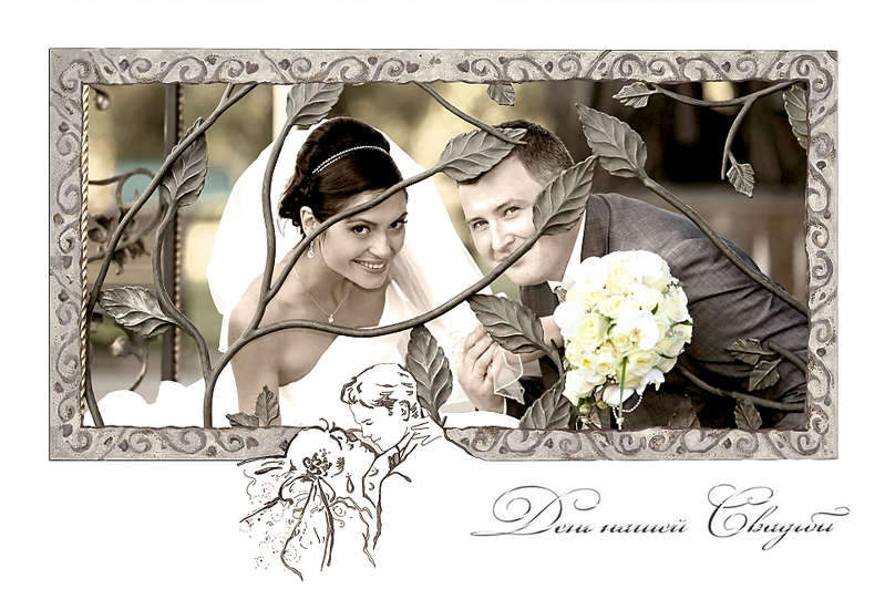 1920 X 1278 262.4 Kb    .