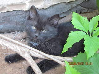 1920 X 1440 222.0 Kb 1920 X 1440 231.4 Kb    