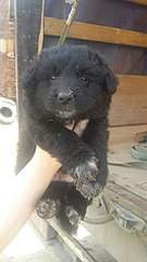 340 X 604 37.0 Kb -       .